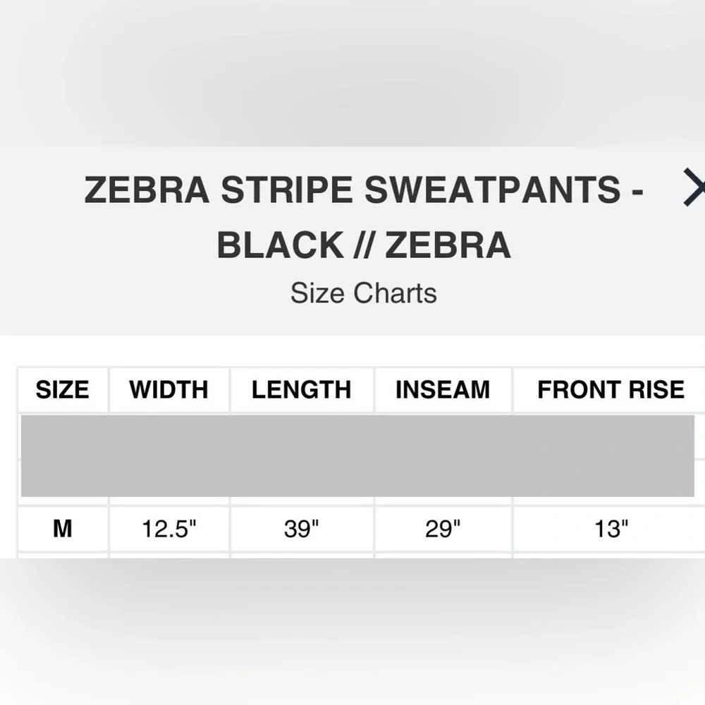 Aviator Nation - Zebra Striped Sweatpants Size M - Picture 8 of 8